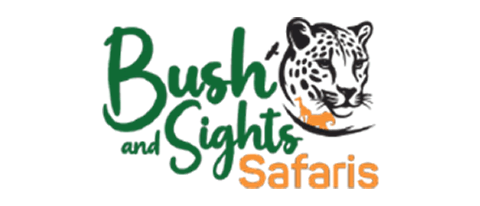 Bush and Sights Safaris