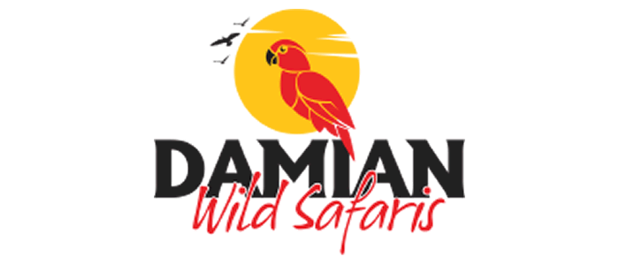 Damian Wild Safaris