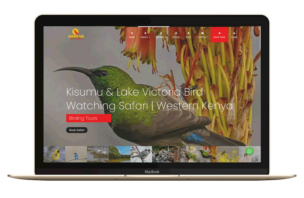 Damian Wild Safaris website